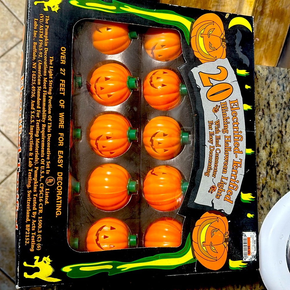 20 Vintage Electrified Terrified Blinking Halloween Lights‎